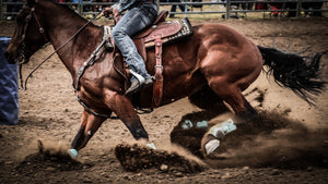 cowboy riding a horse at a rodeo